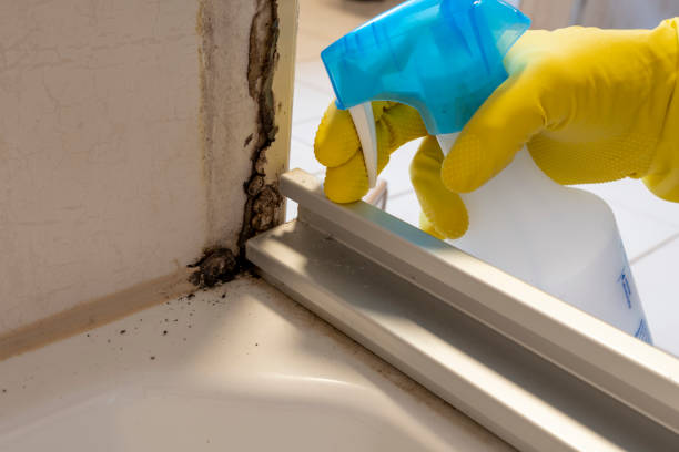 Best Mold Cleaning Services  in Yankton, SD