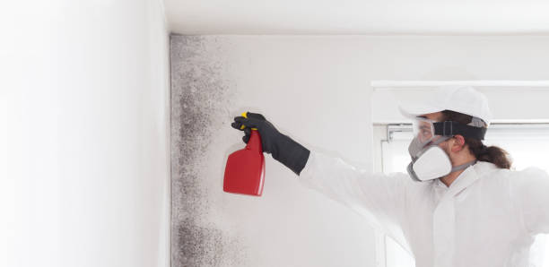 Best Emergency Mold Removal  in Yankton, SD