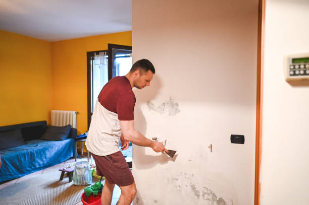 Best Mold Remediation Services  in Yankton, SD